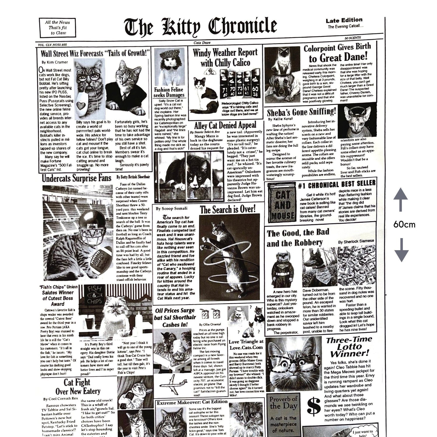 Cat fabric Newspaper 60cm The Kitty Chronicle White Timeless Treasures C1200White