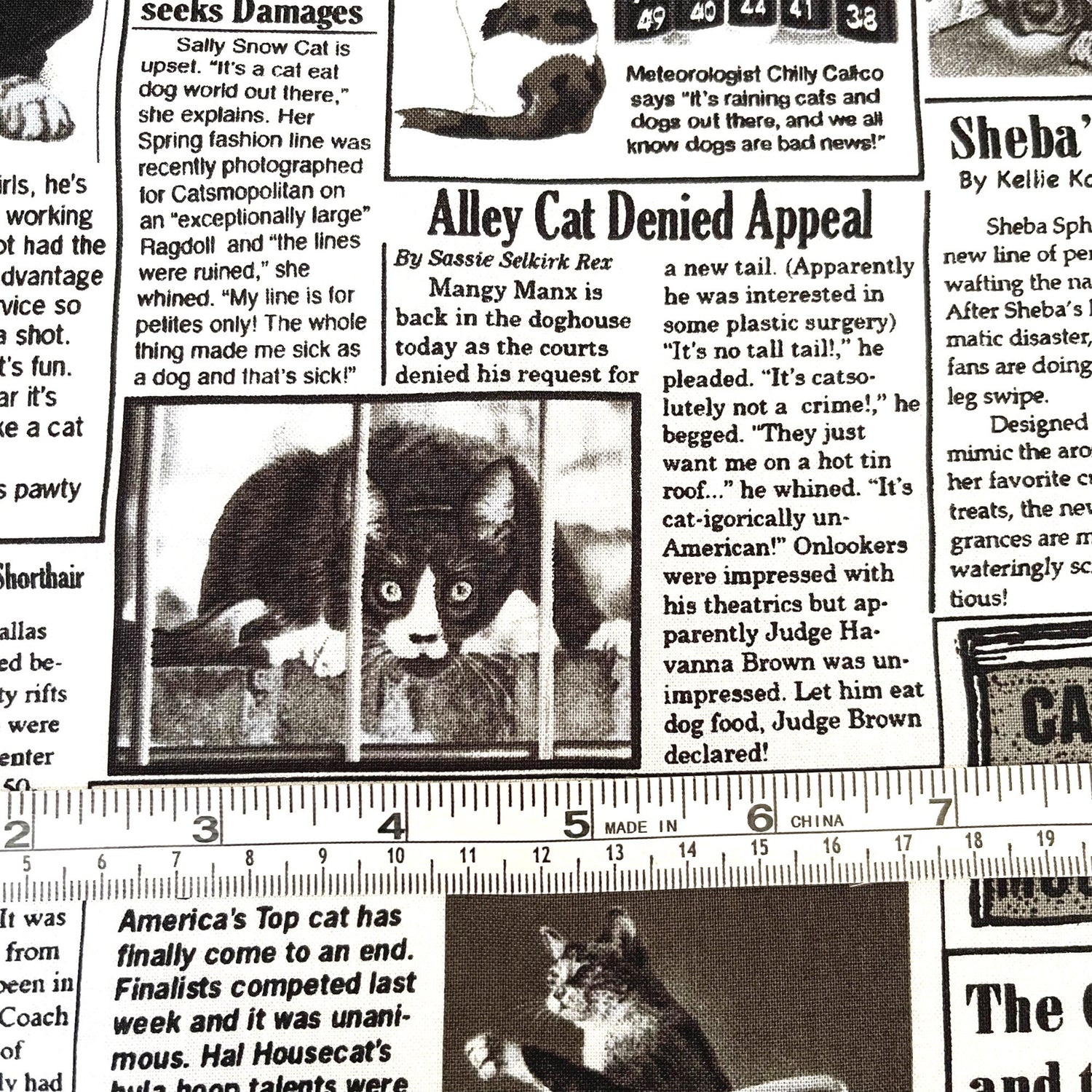 Cat Newspaper fabric 60cm The Kitty Chronicle White Timeless Treasures C1200White