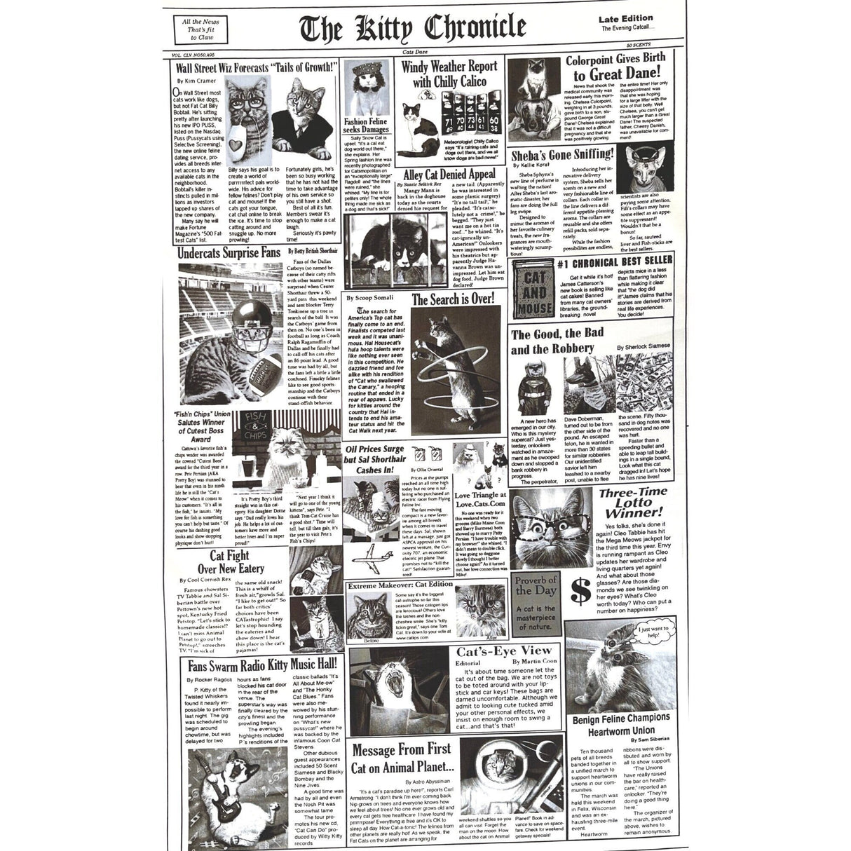 Cat fabric Newspaper 60cm The Kitty Chronicle White Timeless Treasures C1200White