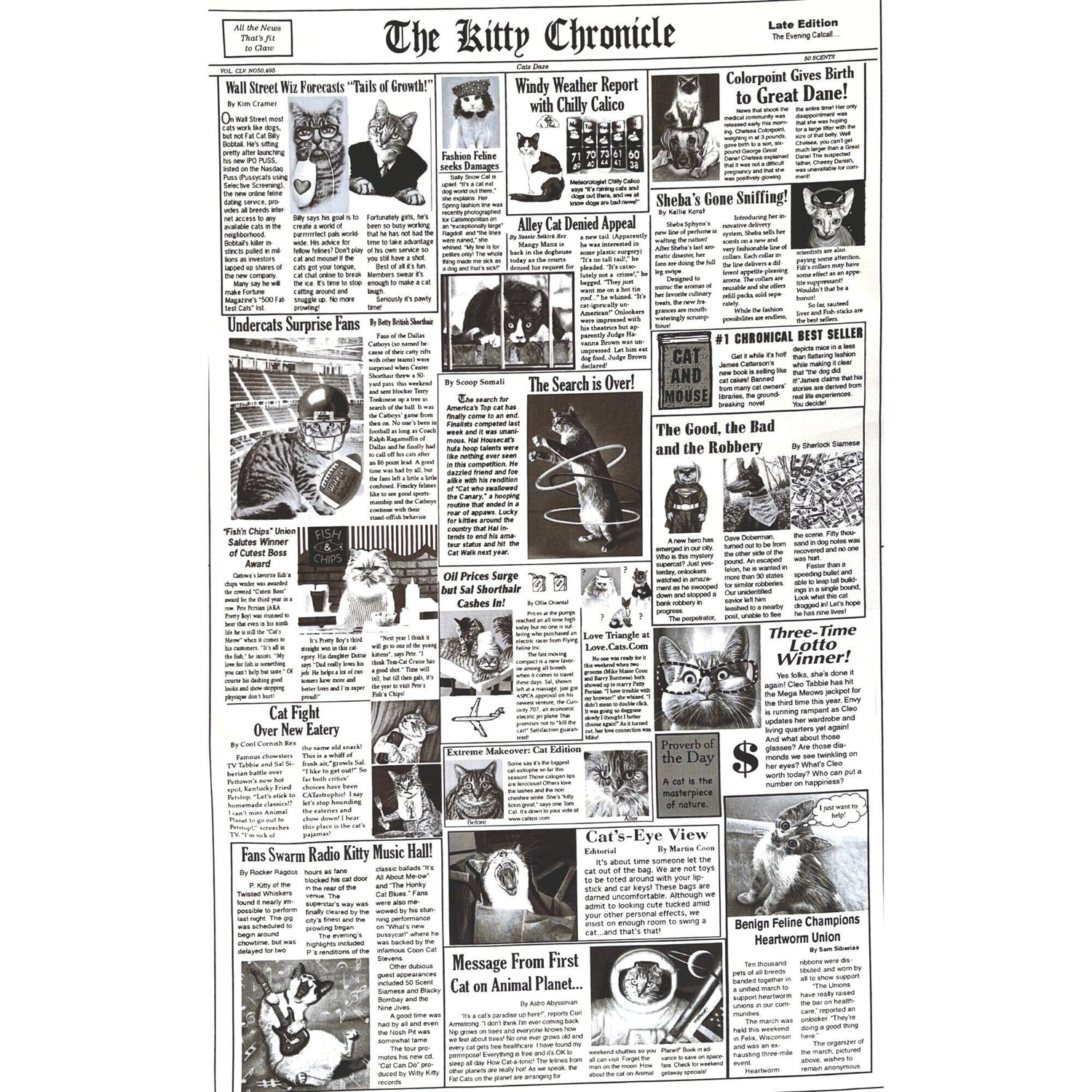 Cat fabric Newspaper 60cm The Kitty Chronicle White Timeless Treasures C1200White