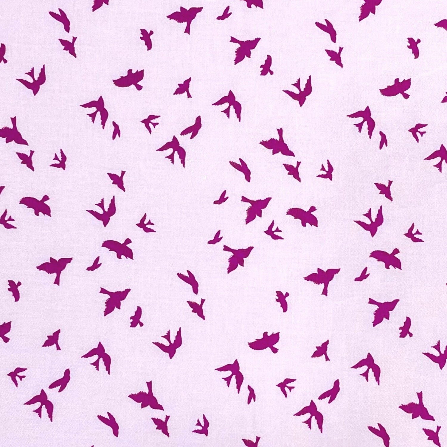 Flight fabric in Iris Birds Brambleberry Ridge Violet Craft Michael Miller fabric DC6136-Iris
